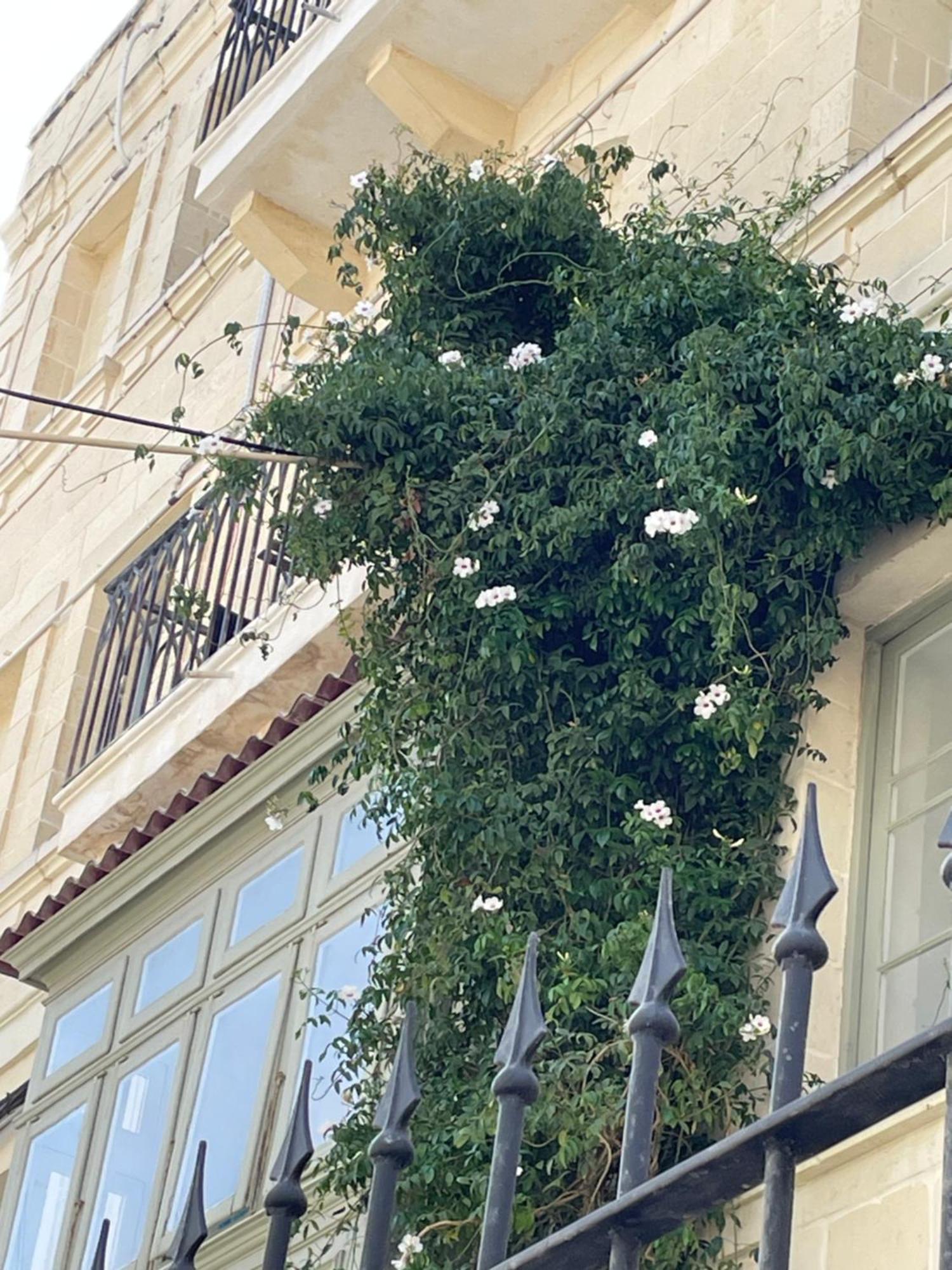 Apartment Simons Minutes Away From Balluta Bay And St Julians *